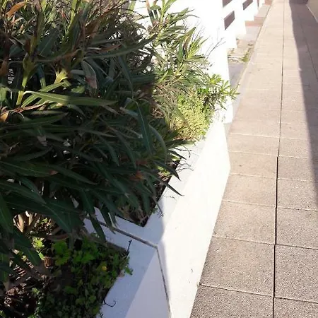Naturist Paradise In « Swinging Cap » Apartment