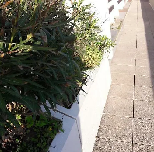 Naturist Paradise In « Swinging Cap » アパート